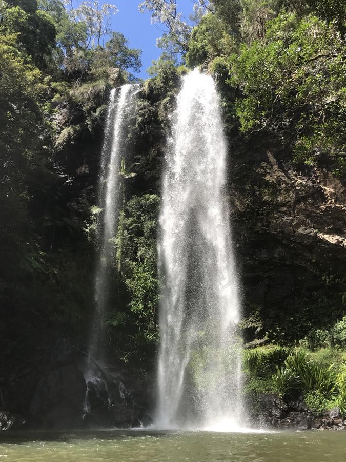 Отель Purling Brook Falls Gwongorella Спрингбрук Экстерьер фото