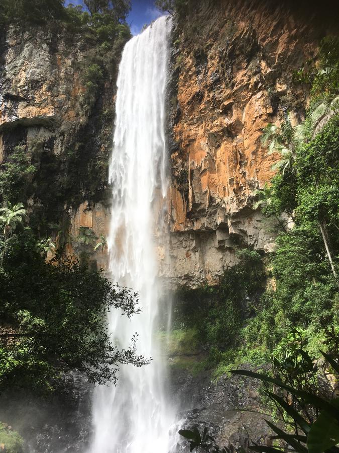 Отель Purling Brook Falls Gwongorella Спрингбрук Экстерьер фото