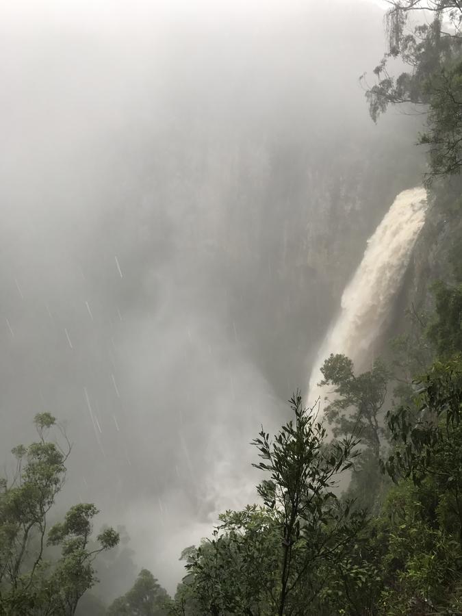 Отель Purling Brook Falls Gwongorella Спрингбрук Экстерьер фото